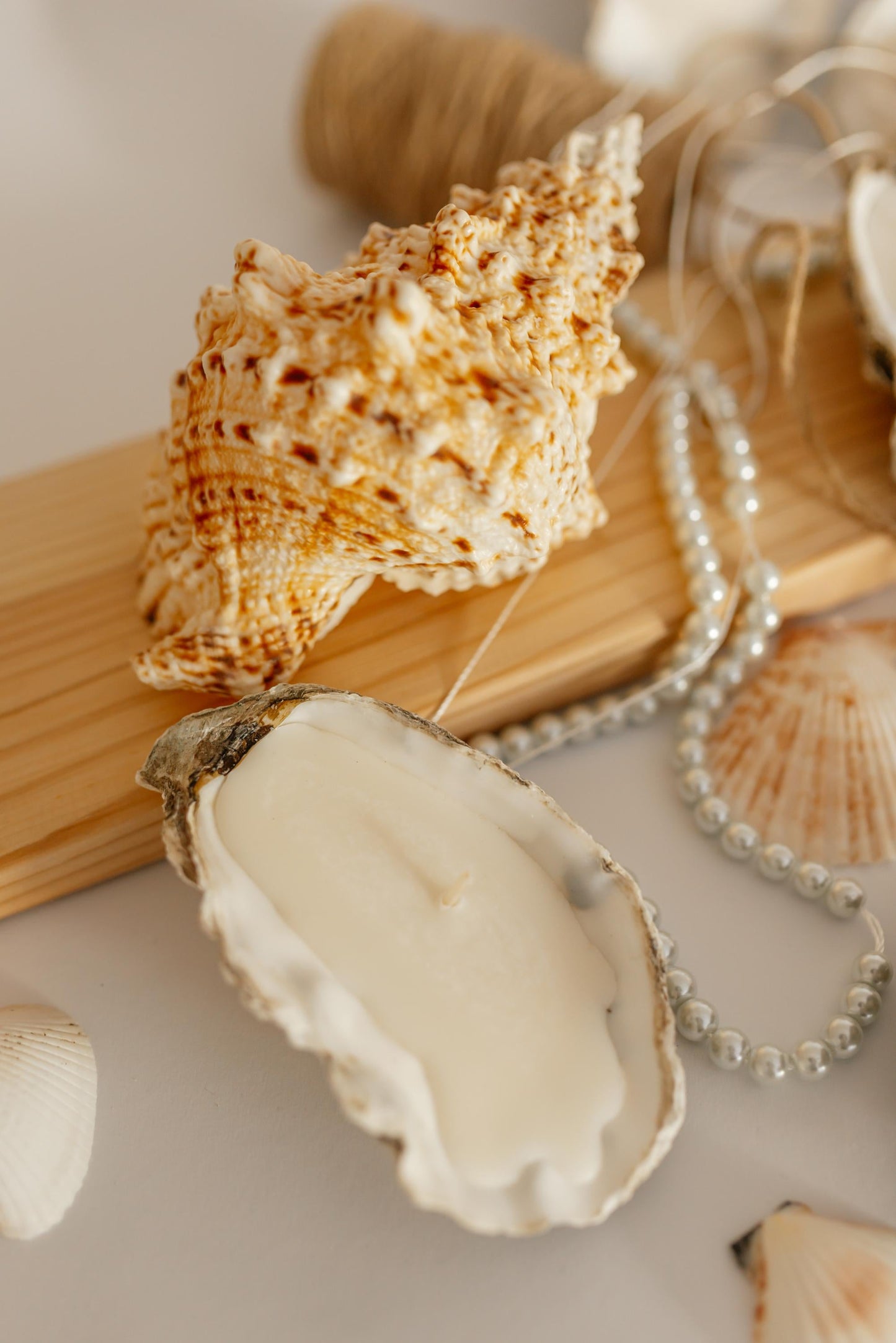 Set of 3/7/10 Oyster Shell Candles- Natural Seashell Decor