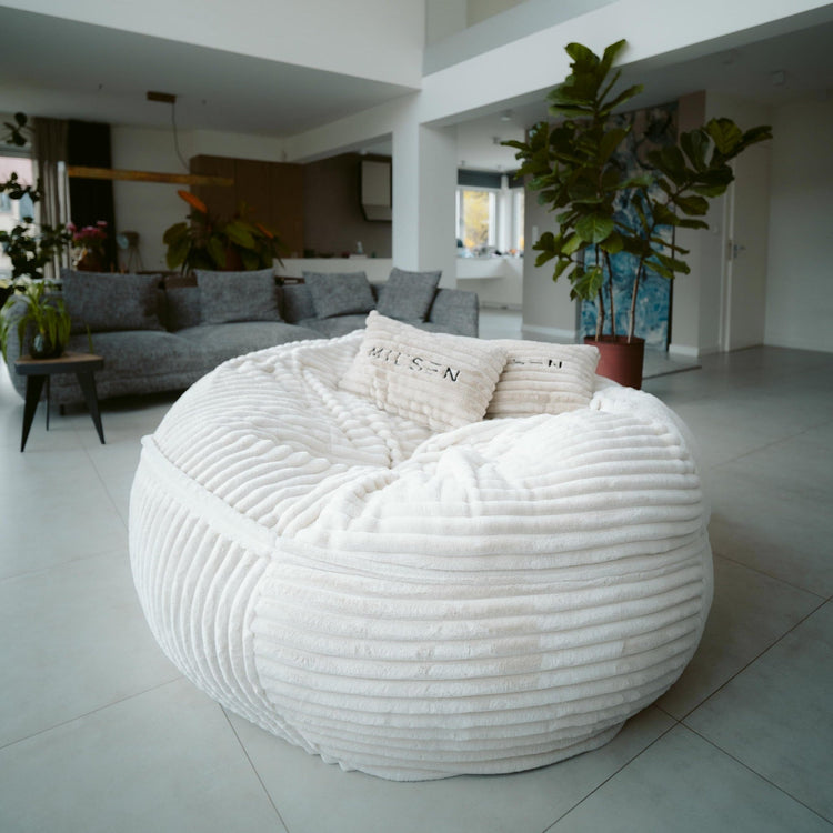 Bean Bag Chairs / Puff