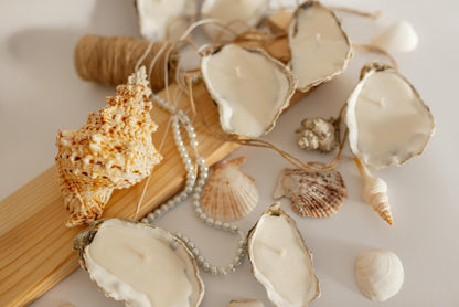 Set of 3/7/10 Oyster Shell Candles- Natural Seashell Decor